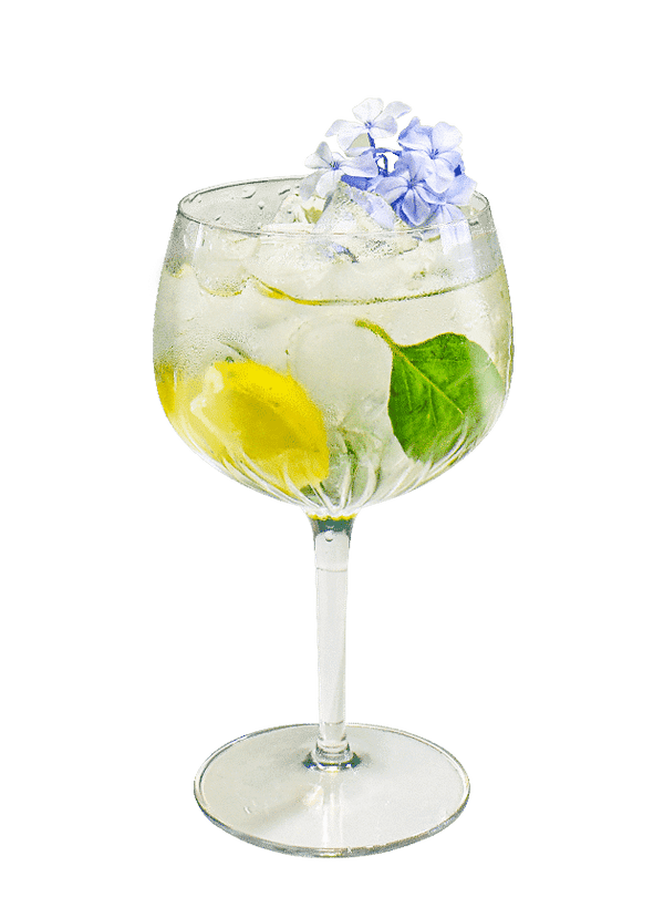 Elderflower & Basil G&T