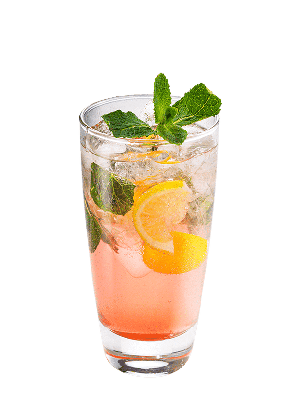 Watermelon & Mint G&T