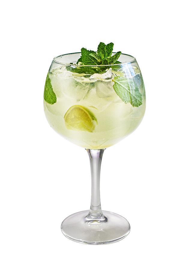 Mango & Mint G&T