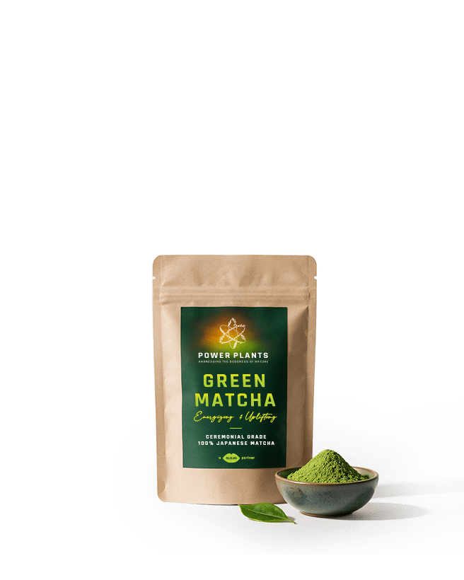 SloJo Green Matcha - SloJo South Africa