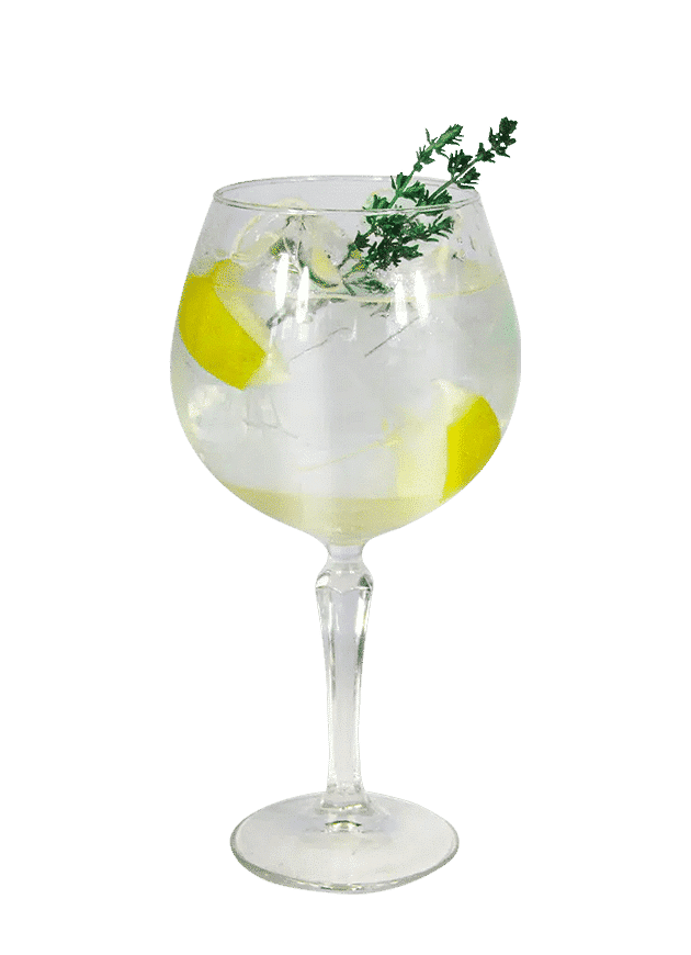 Litchi Lemon G&T