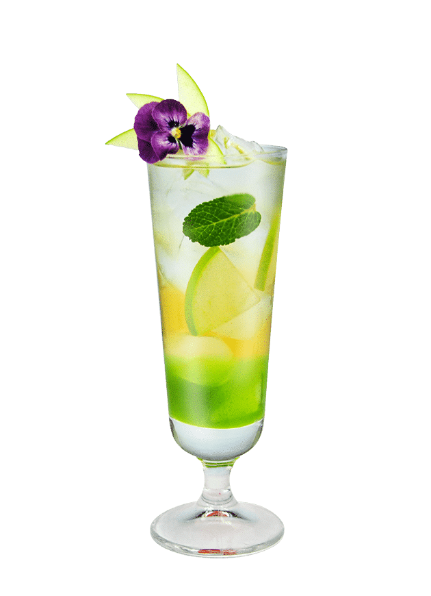 Pear Elderflower Sparkler