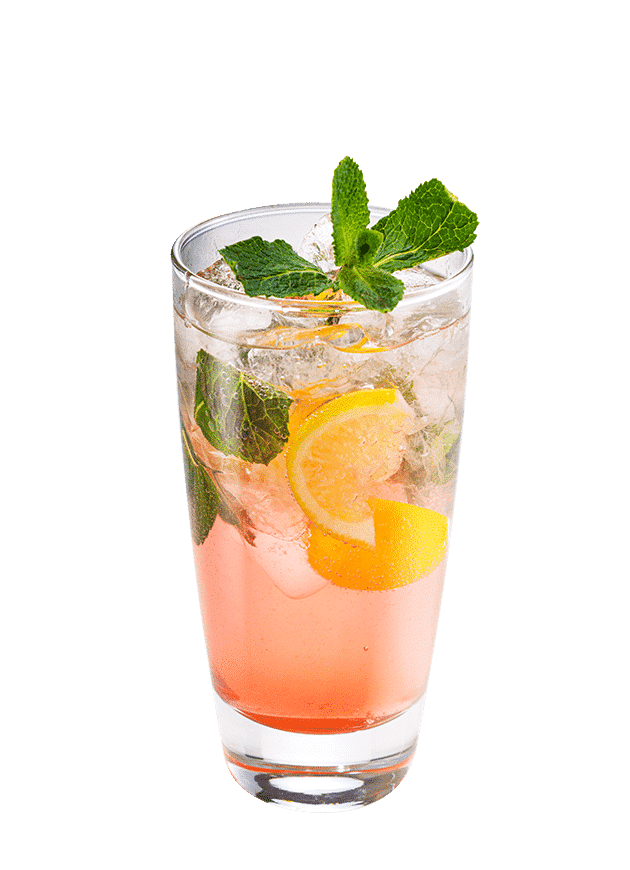 Watermelon & Mint G&T