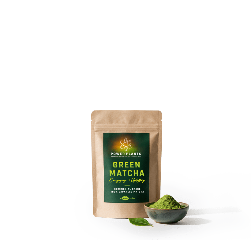 SloJo Green Matcha - SloJo South Africa